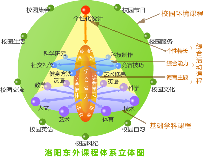 洛阳东外课程体系图