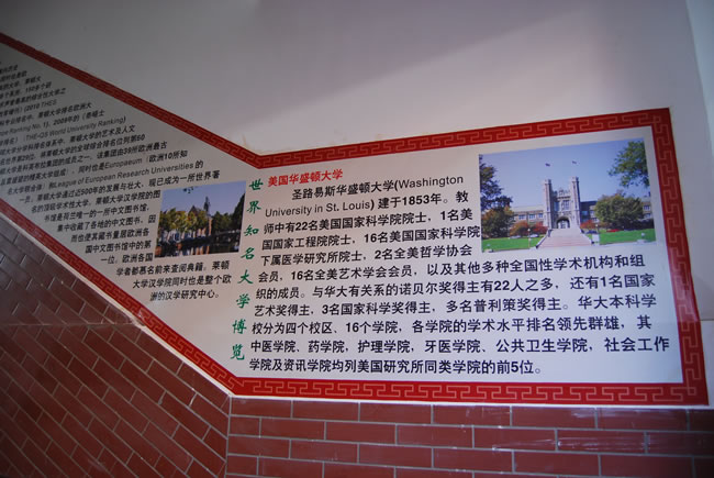 洛阳东方外国语学校，校园文化走廊1