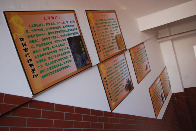 洛阳东方外国语学校，校园文化走廊