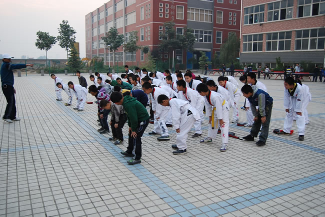 洛阳东方外国语学校,跆拳道