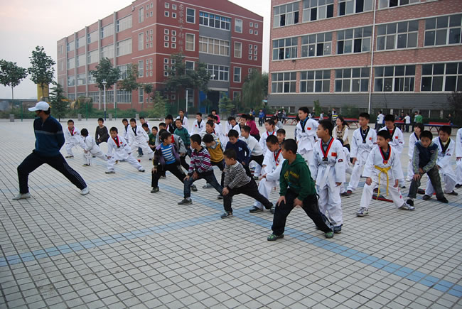 洛阳东方外国语学校,跆拳道
