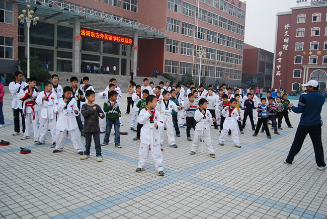 洛阳东方外国语学校,跆拳道