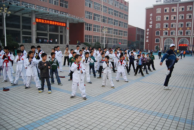 洛阳东方外国语学校,跆拳道