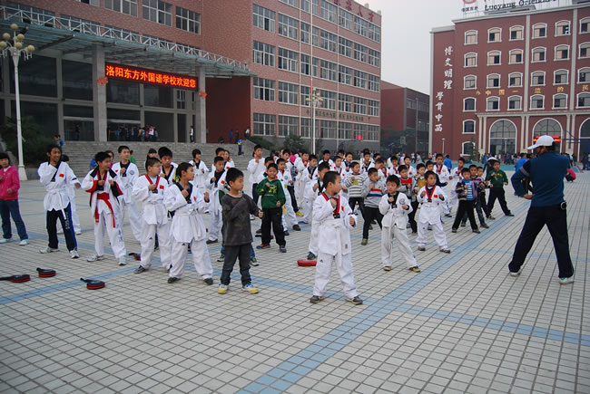 洛阳东方外国语学校,跆拳道