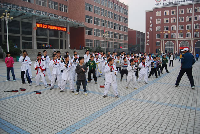 洛阳东方外国语学校,跆拳道