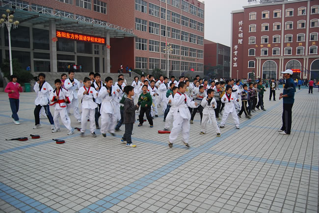 洛阳东方外国语学校,跆拳道