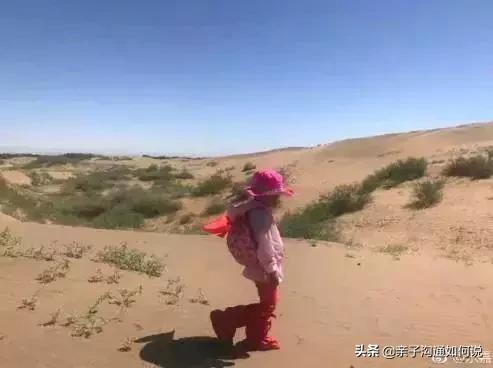 武亦姝被清华录取:那些出类拔萃的孩子,都是拼爹的结果