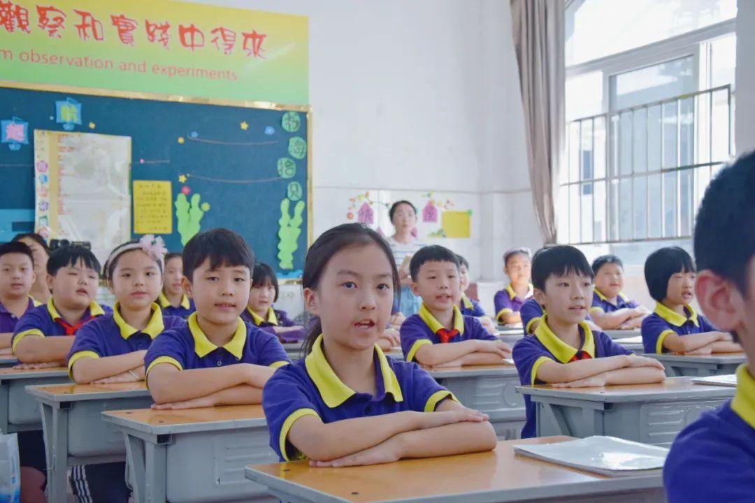 激活自主课堂,点燃研究热情丨东外小学部名师引领课活动纪实