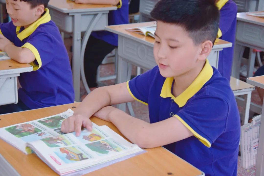 激活自主课堂,点燃研究热情丨东外小学部名师引领课活动纪实