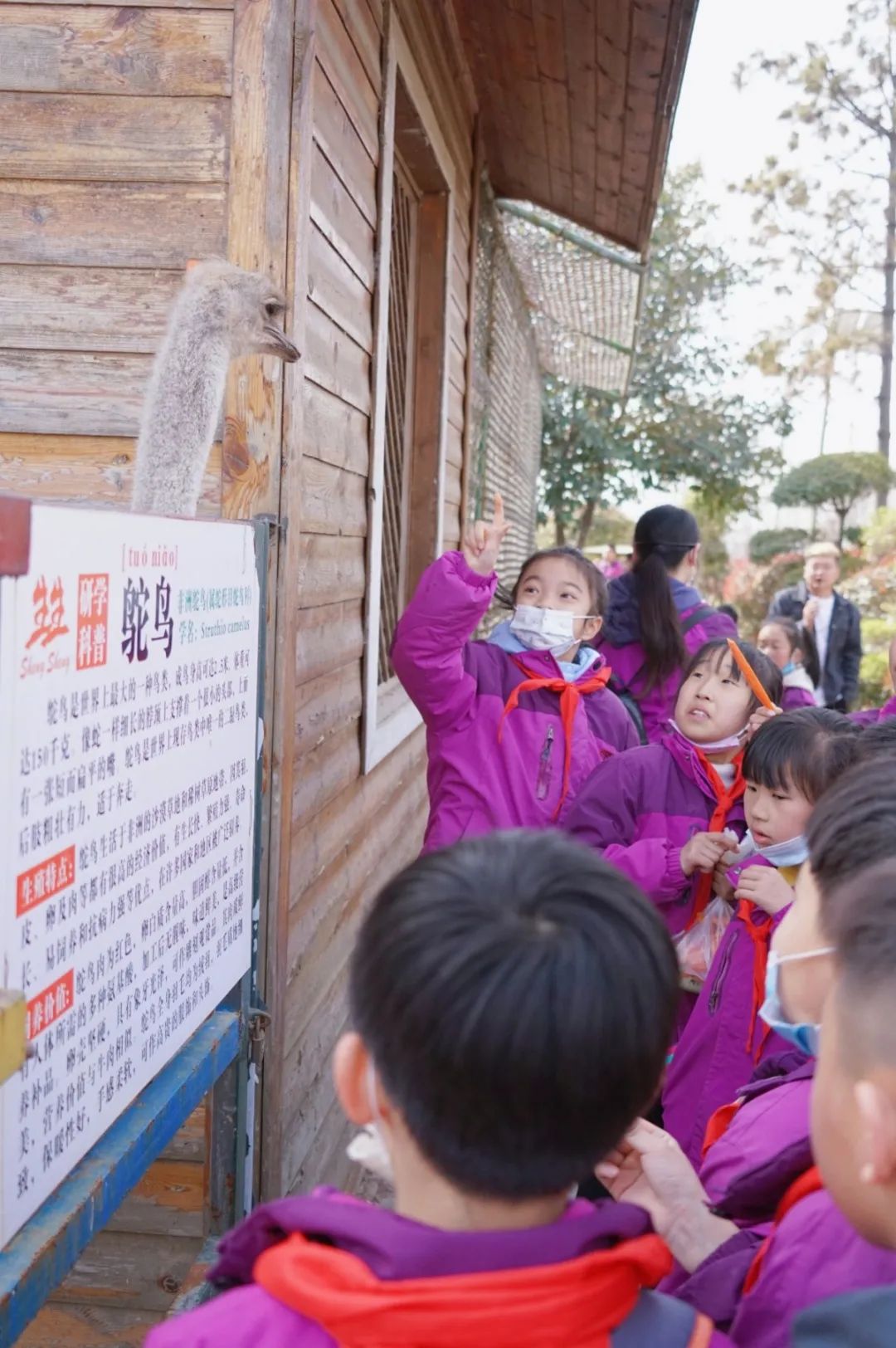 遇见春天 感受牧场生命能量—洛阳东外小学部研学系列活动(二)