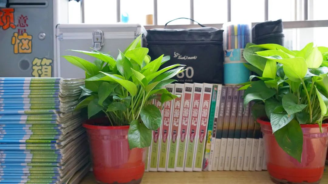 在东外,教室的每一面墙都会说话