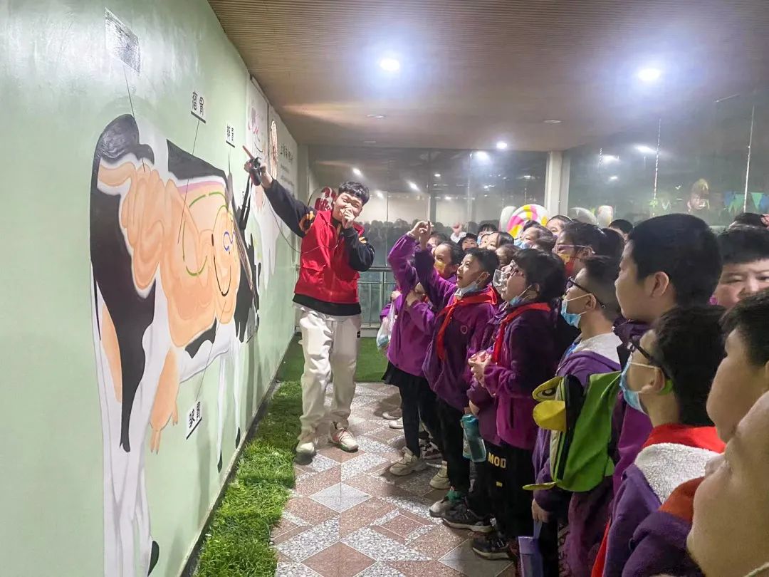 不负春光,快乐成长——洛阳东外小学部三年级研学旅行