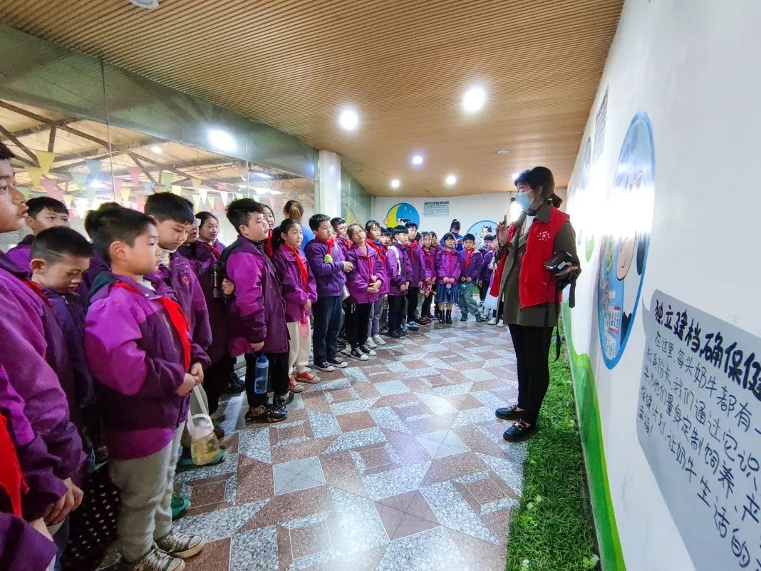 不负春光,快乐成长——洛阳东外小学部三年级研学旅行