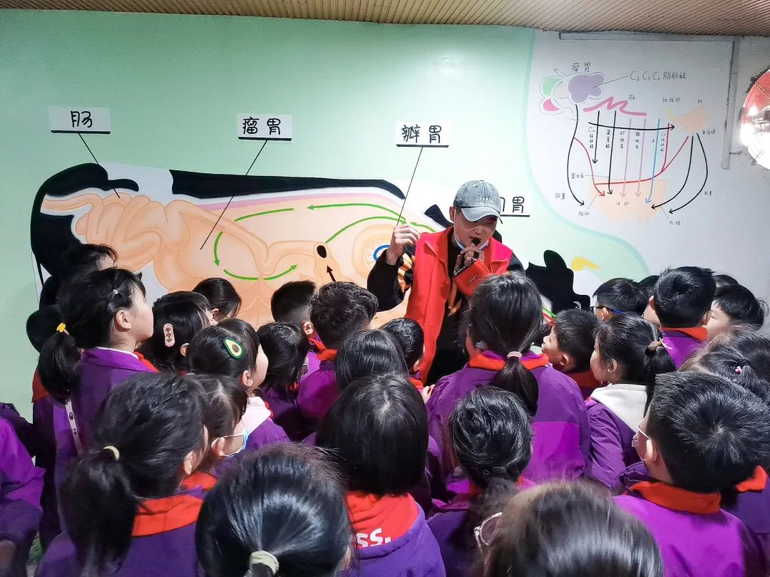 不负春光,快乐成长——洛阳东外小学部三年级研学旅行