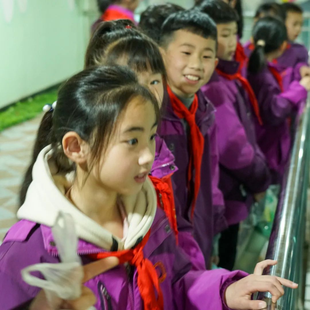 不负春光,快乐成长——洛阳东外小学部三年级研学旅行