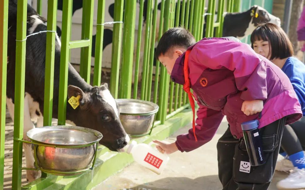 不负春光,快乐成长——洛阳东外小学部三年级研学旅行