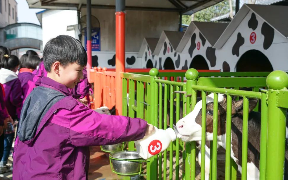 不负春光,快乐成长——洛阳东外小学部三年级研学旅行