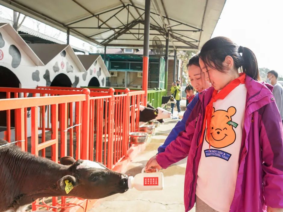 不负春光,快乐成长——洛阳东外小学部三年级研学旅行