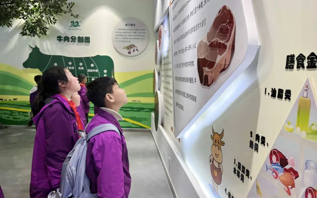 不负春光,快乐成长——洛阳东外小学部三年级研学旅行