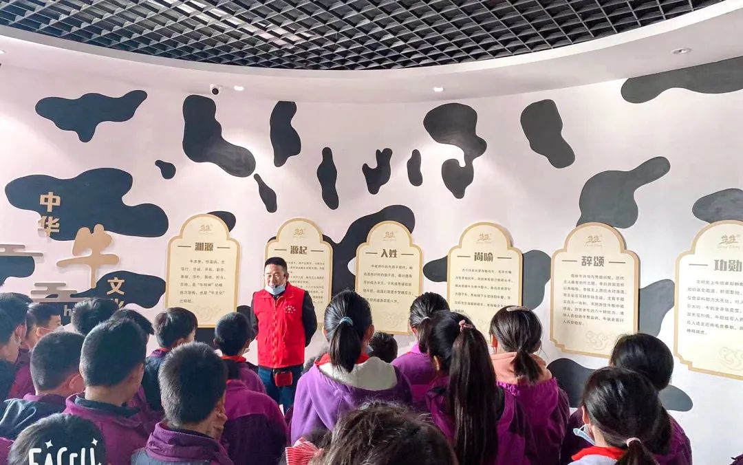 不负春光,快乐成长——洛阳东外小学部三年级研学旅行