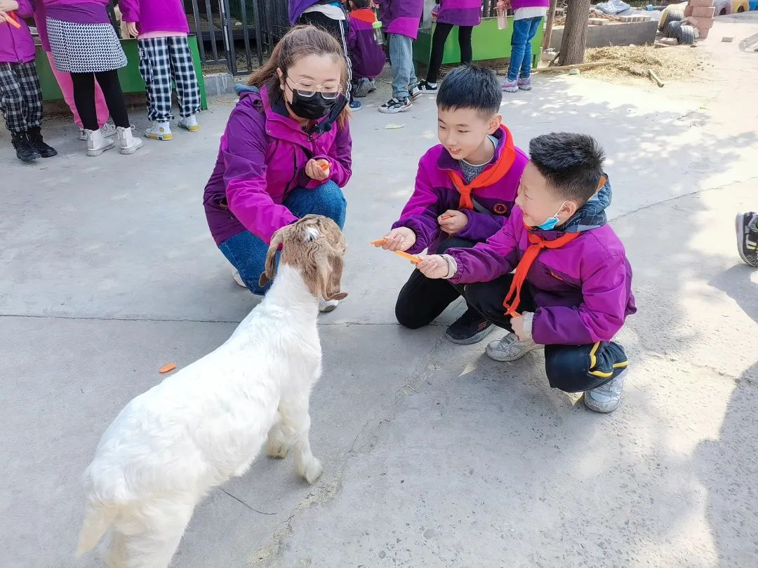 不负春光,快乐成长——洛阳东外小学部三年级研学旅行
