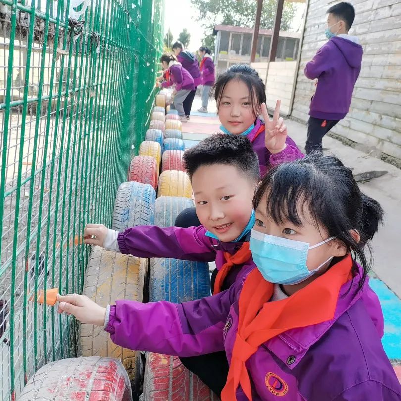 不负春光,快乐成长——洛阳东外小学部三年级研学旅行