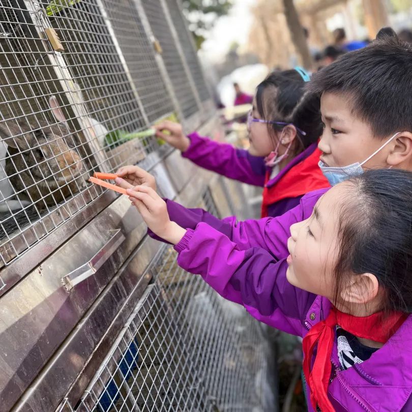 不负春光,快乐成长——洛阳东外小学部三年级研学旅行