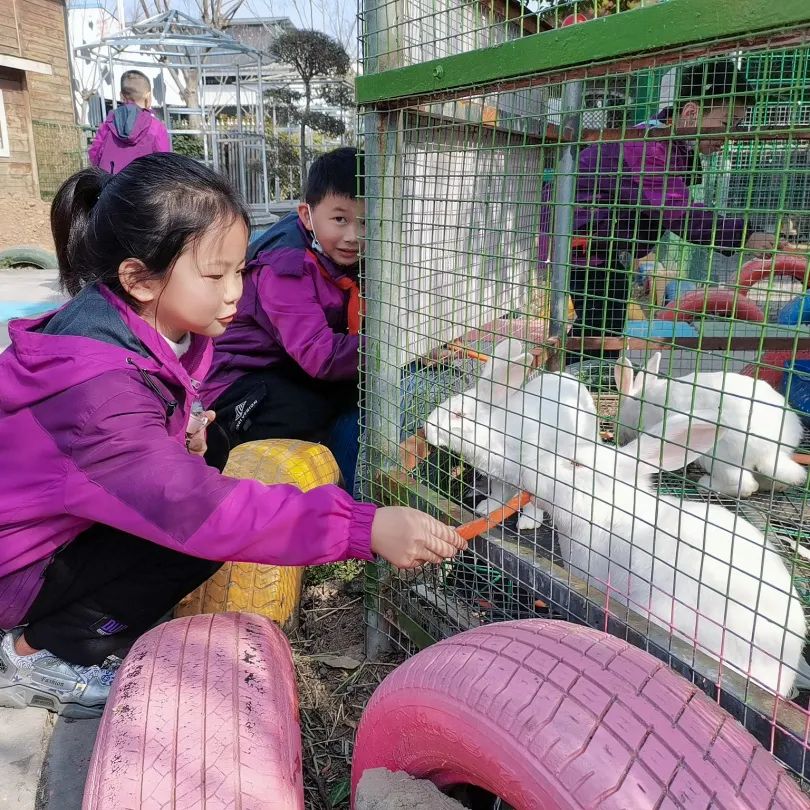 不负春光,快乐成长——洛阳东外小学部三年级研学旅行