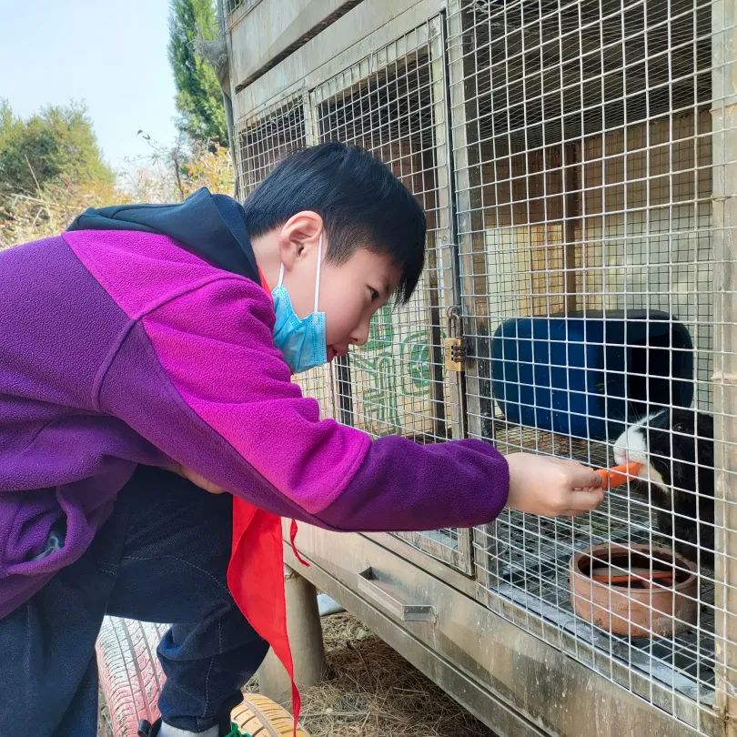 不负春光,快乐成长——洛阳东外小学部三年级研学旅行