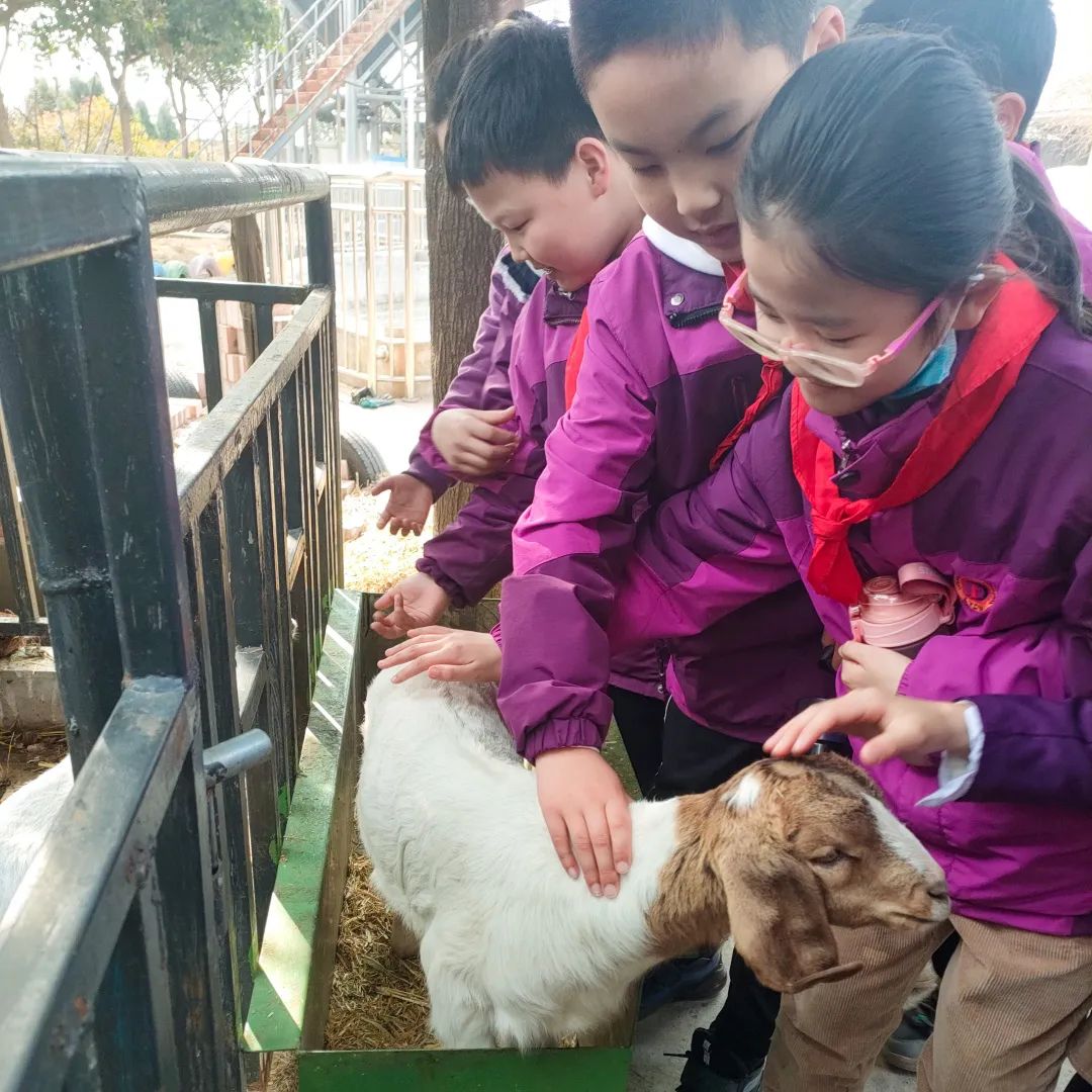 不负春光,快乐成长——洛阳东外小学部三年级研学旅行