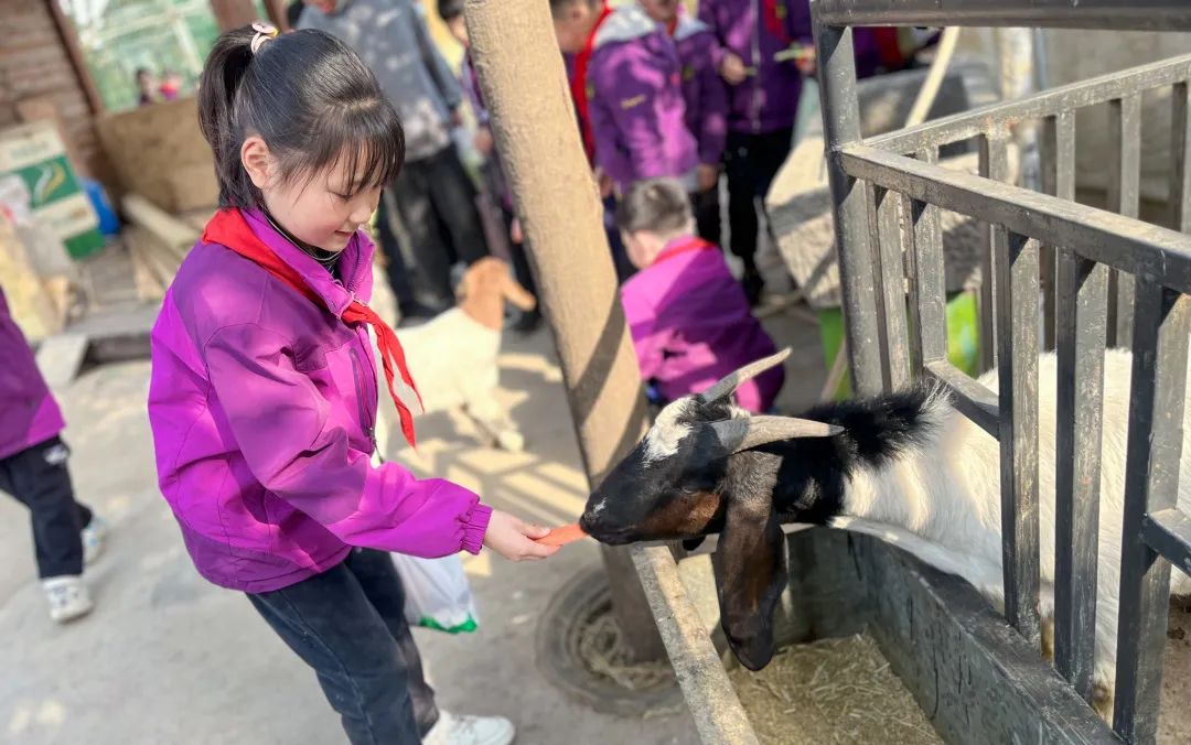 不负春光,快乐成长——洛阳东外小学部三年级研学旅行