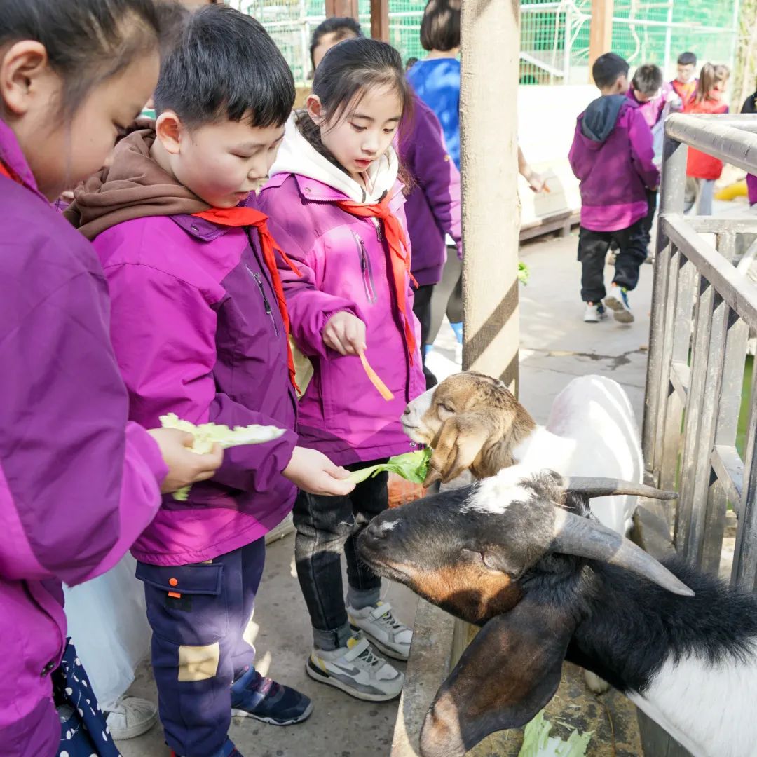 不负春光,快乐成长——洛阳东外小学部三年级研学旅行